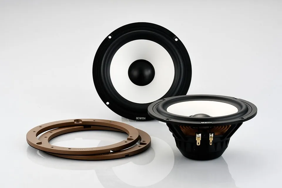 Rear Speaker Set (Standard Type)